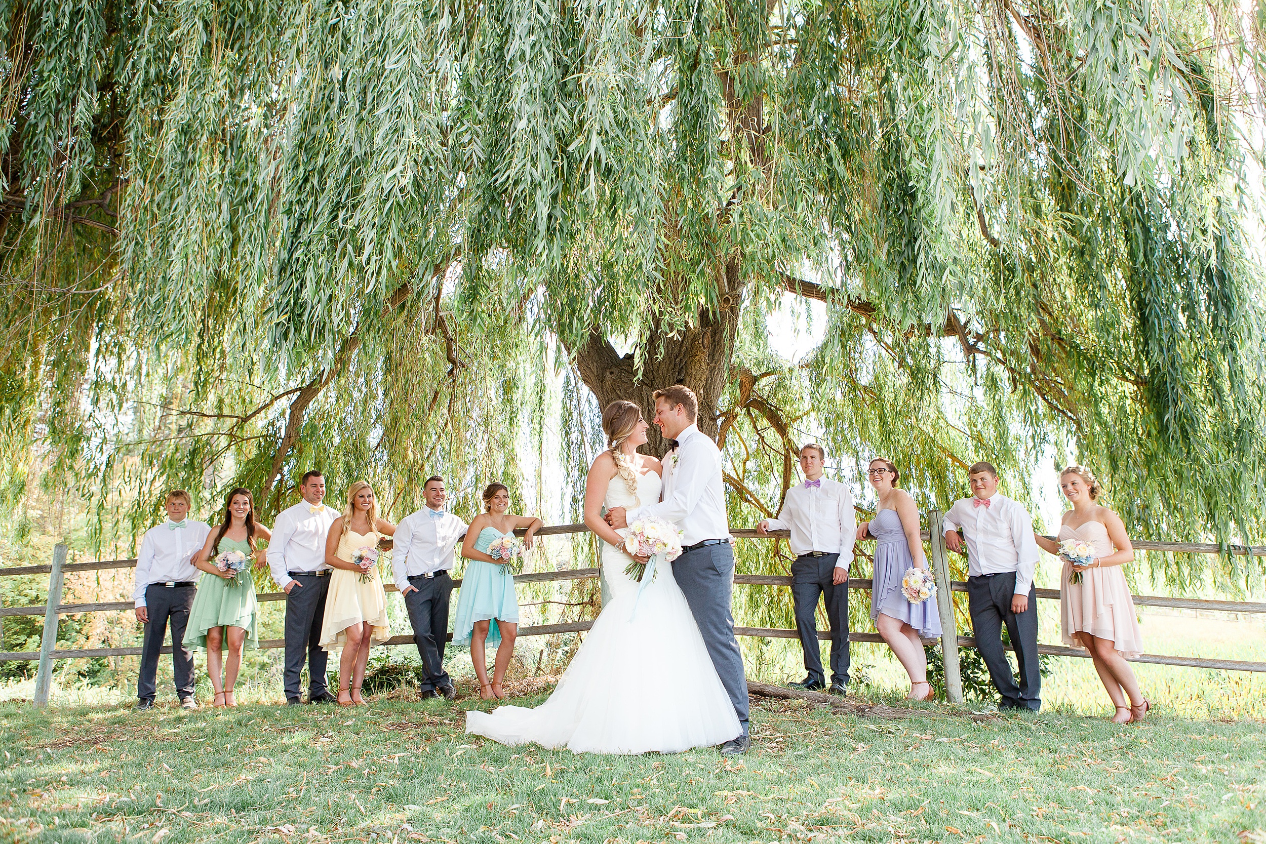 wedding party standing with bride and groom under a willow tree at Kelowna Wedding Venues