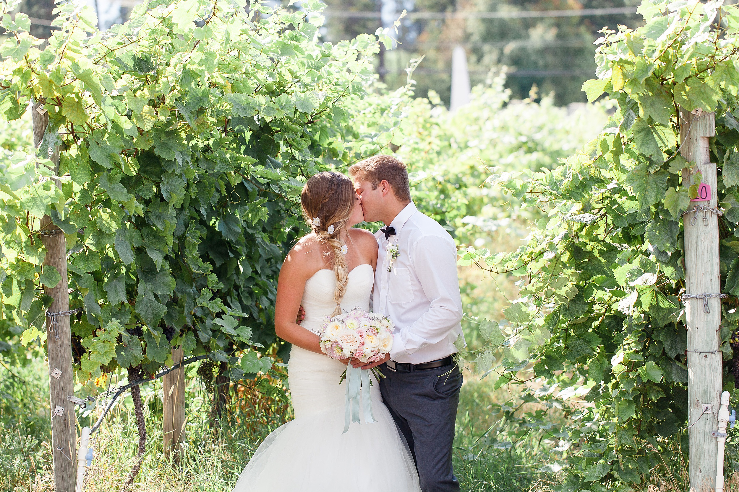 newlyweds kiss amongst grapes at a winery fitzpatrick winery