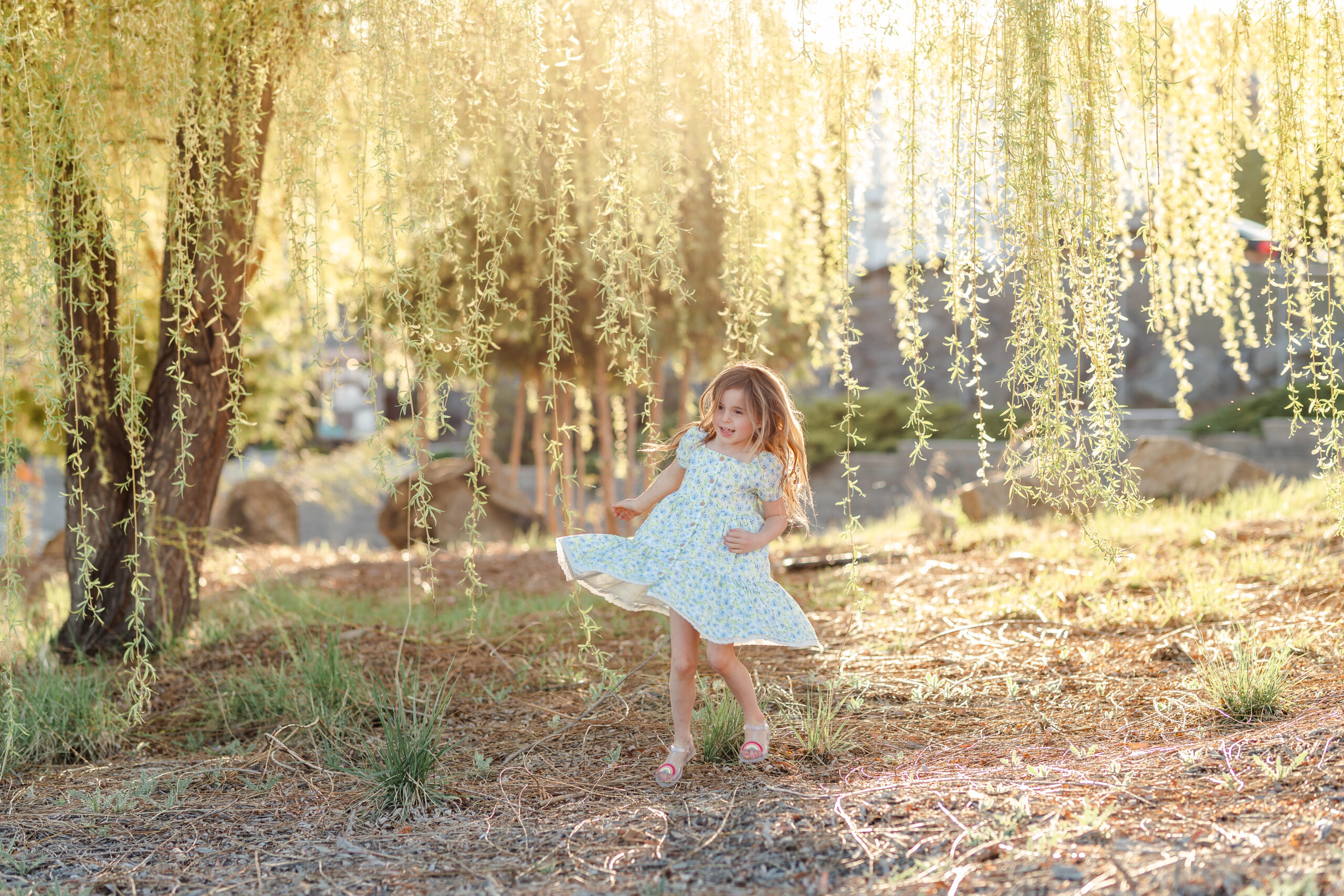 little girl dances under a willow tree in peachland at sunset